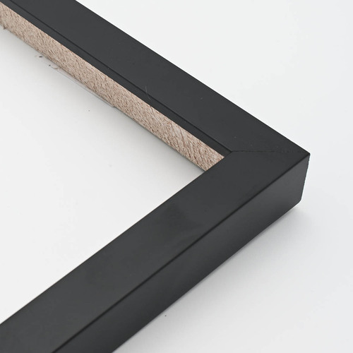 Moulding  Frame 